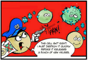 immune system battle cartoon